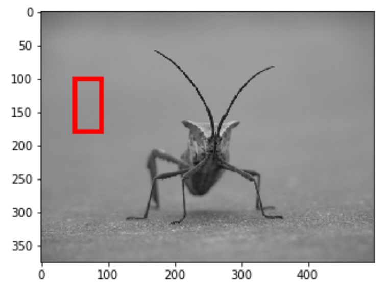 Draw rectangle on imagine in matplotlib