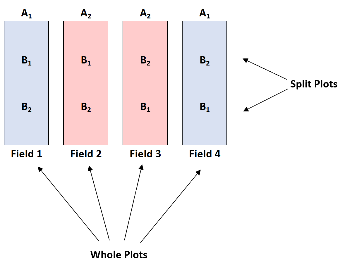 Split-plot design example