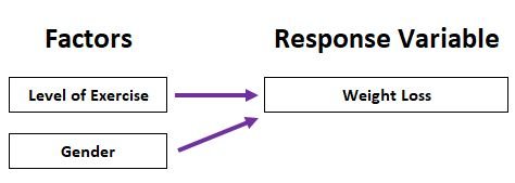 Two-way ANOVA example